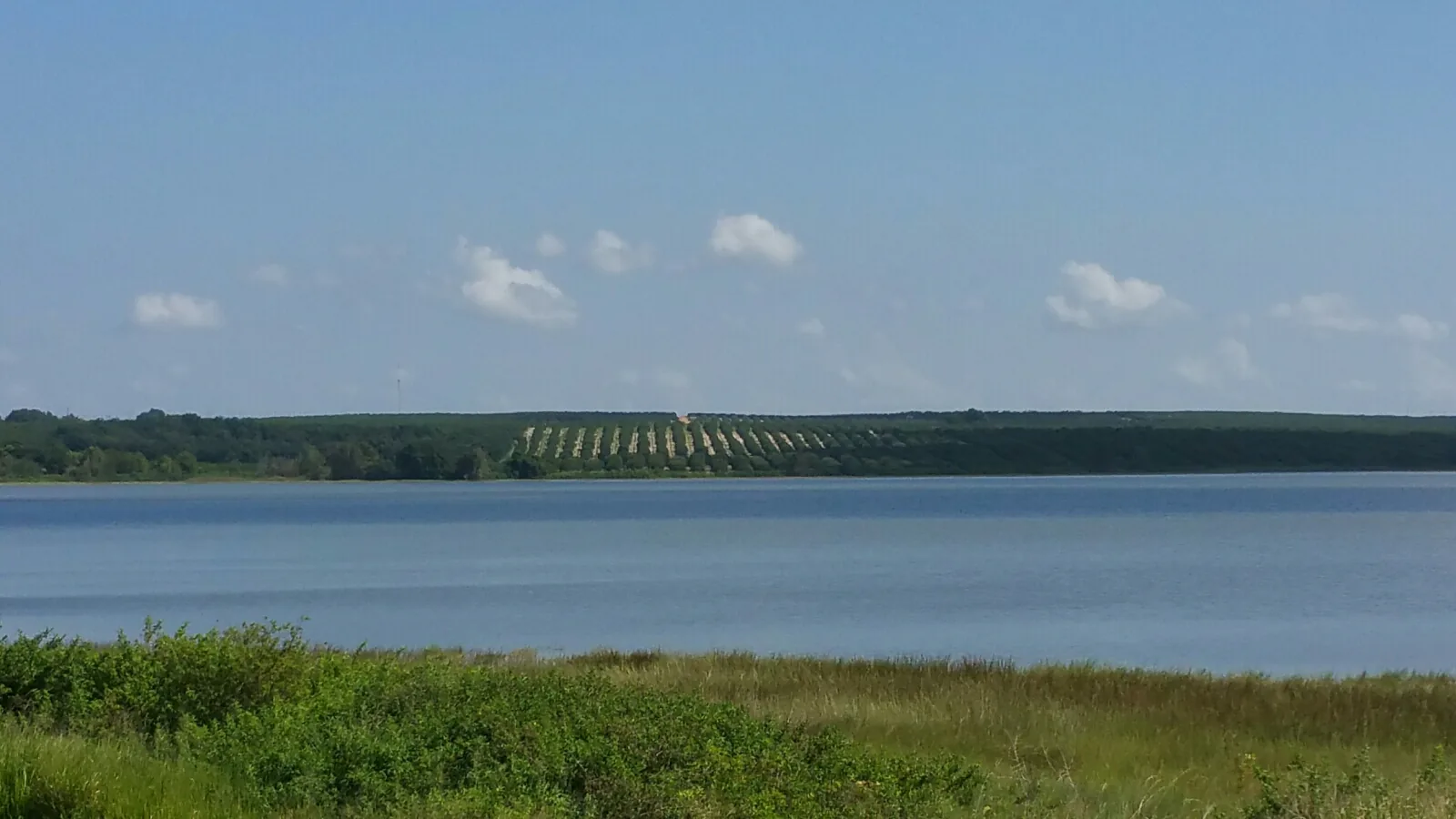 Kathleen, Florida