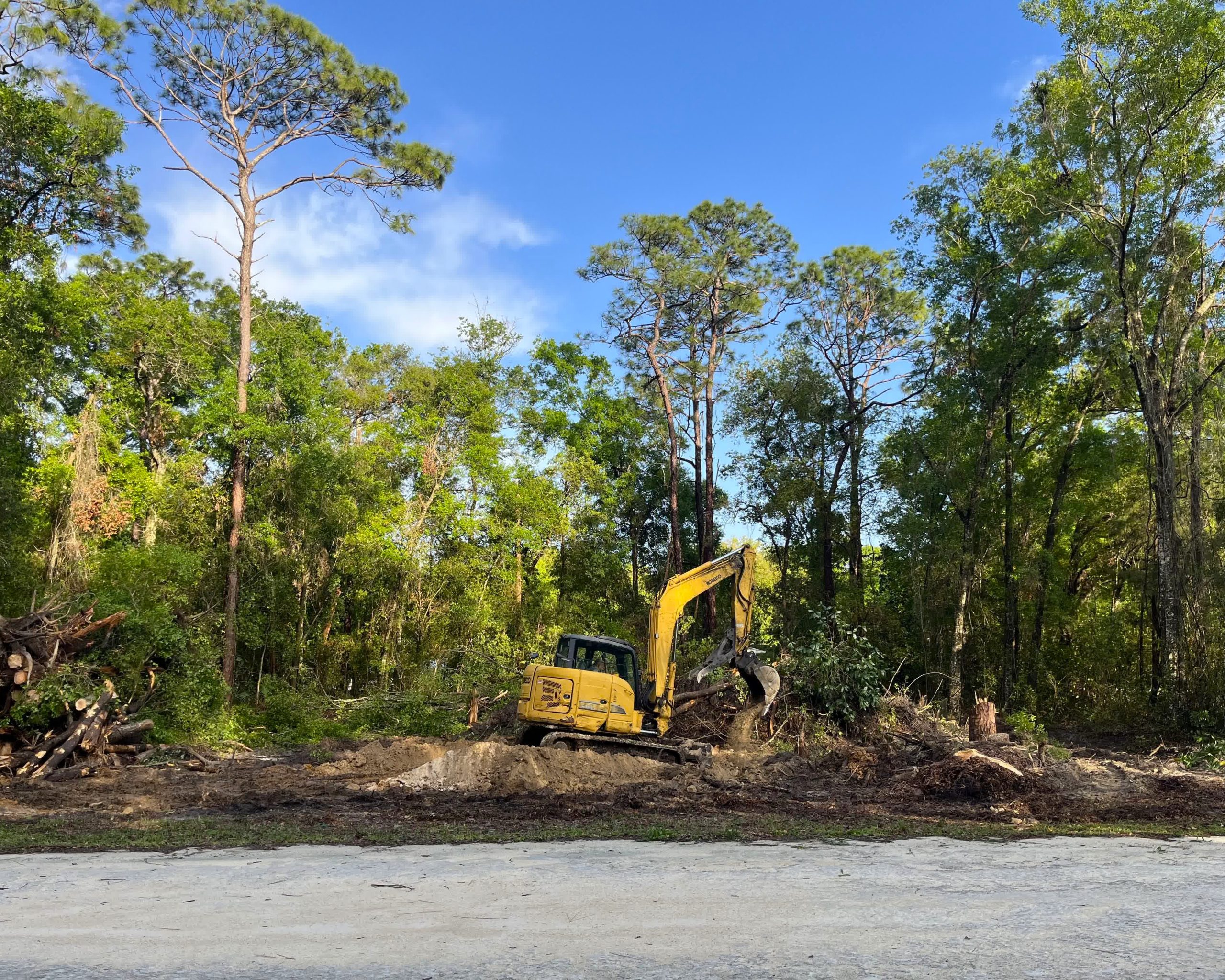 Equipment-assisted tree work