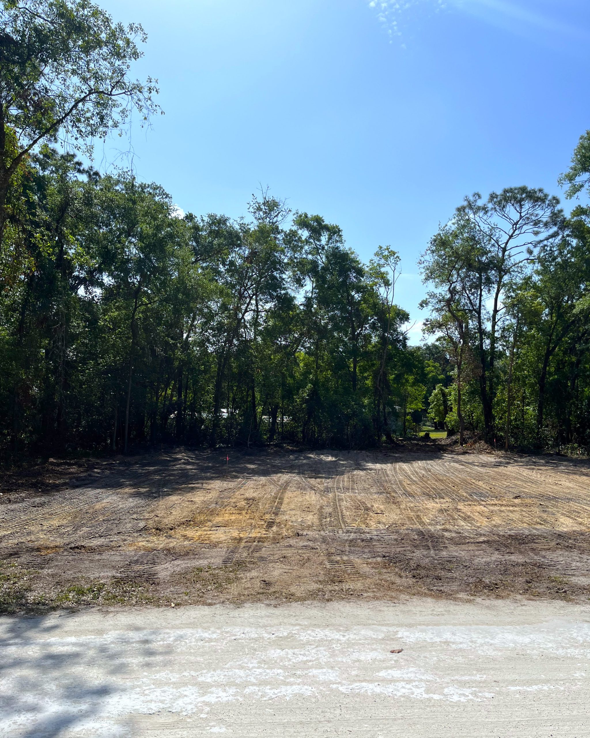 Demolition and site work in progress