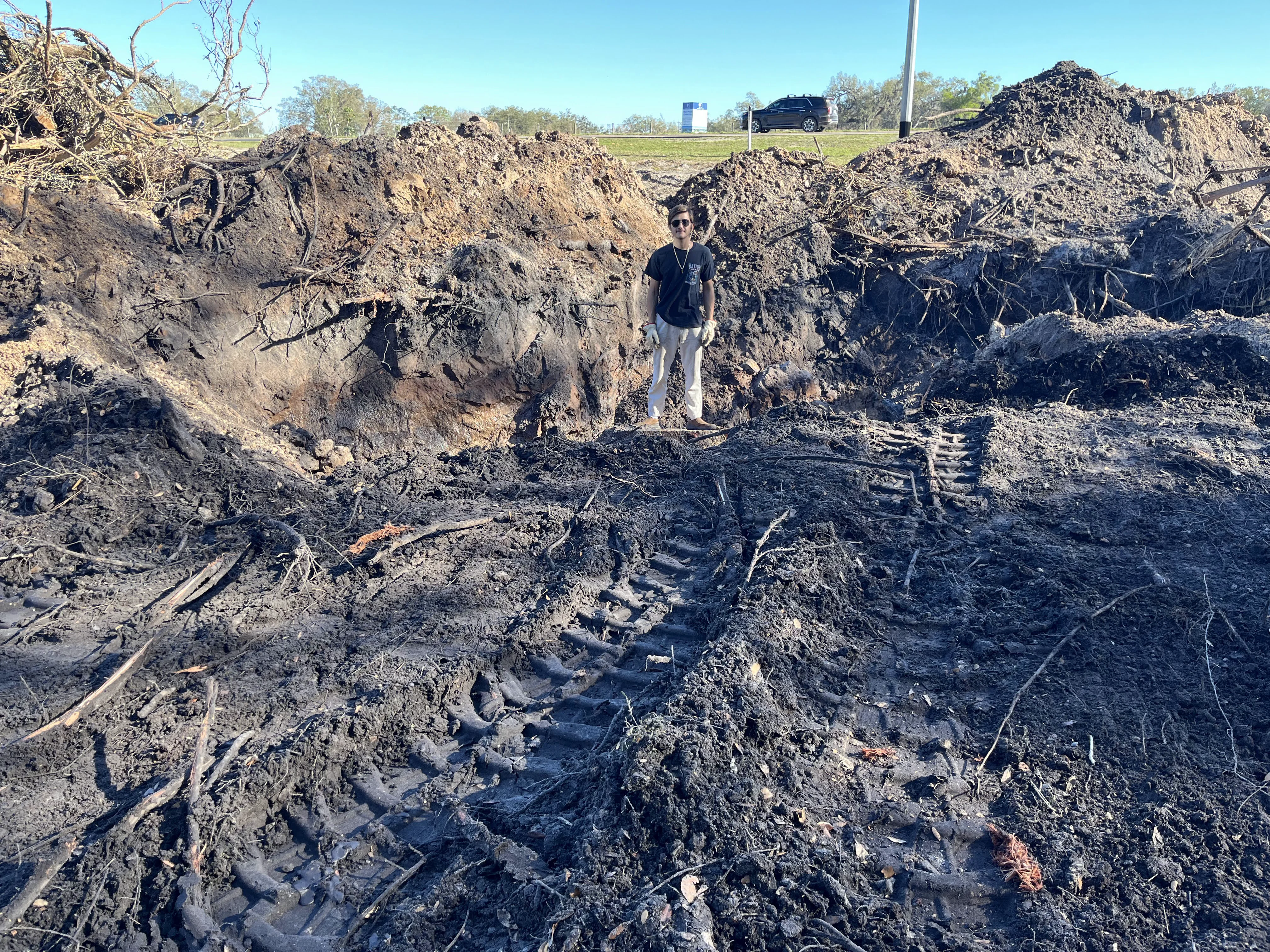 Digging Out the Stumps
