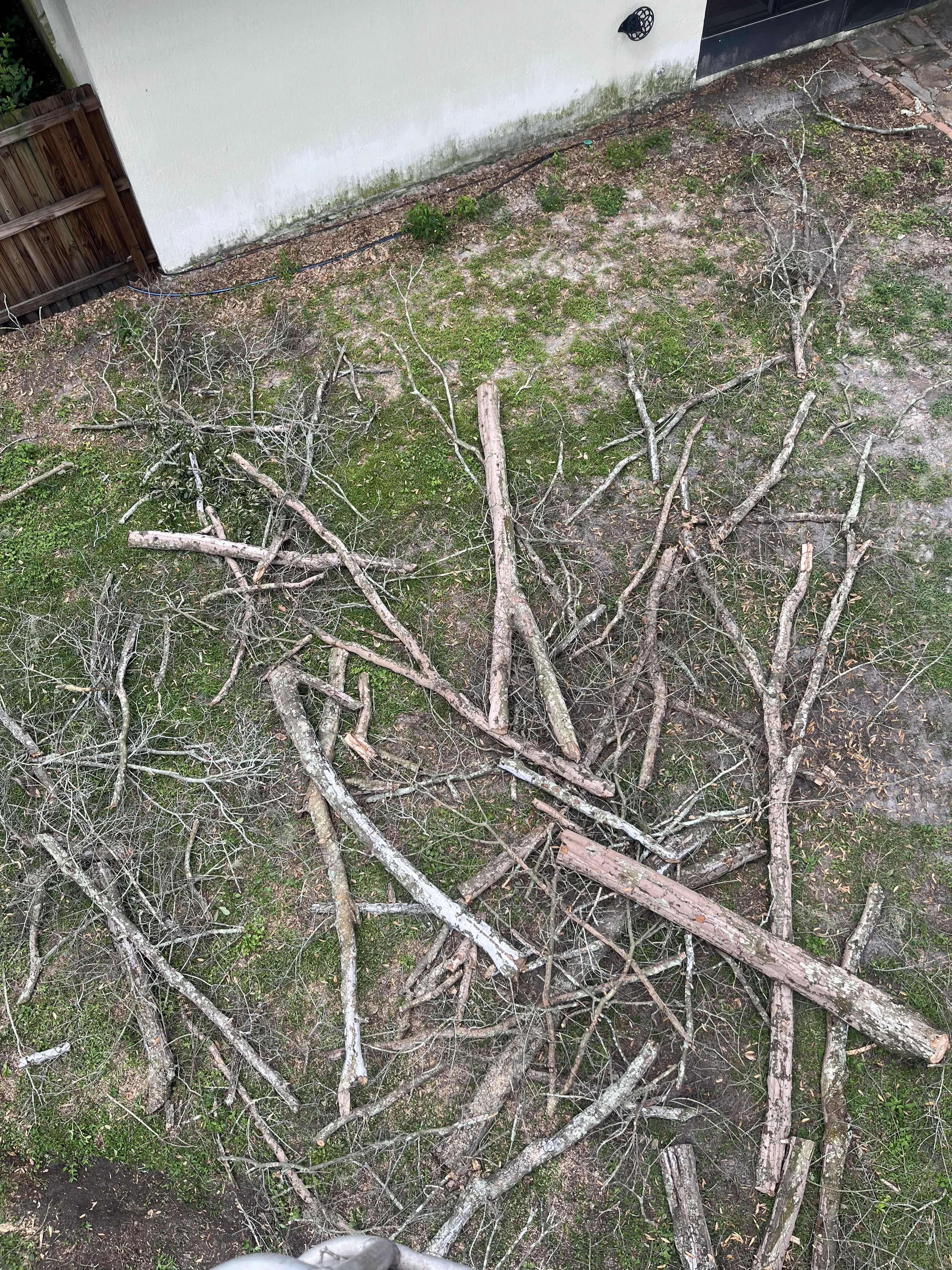 Branches on the Ground
