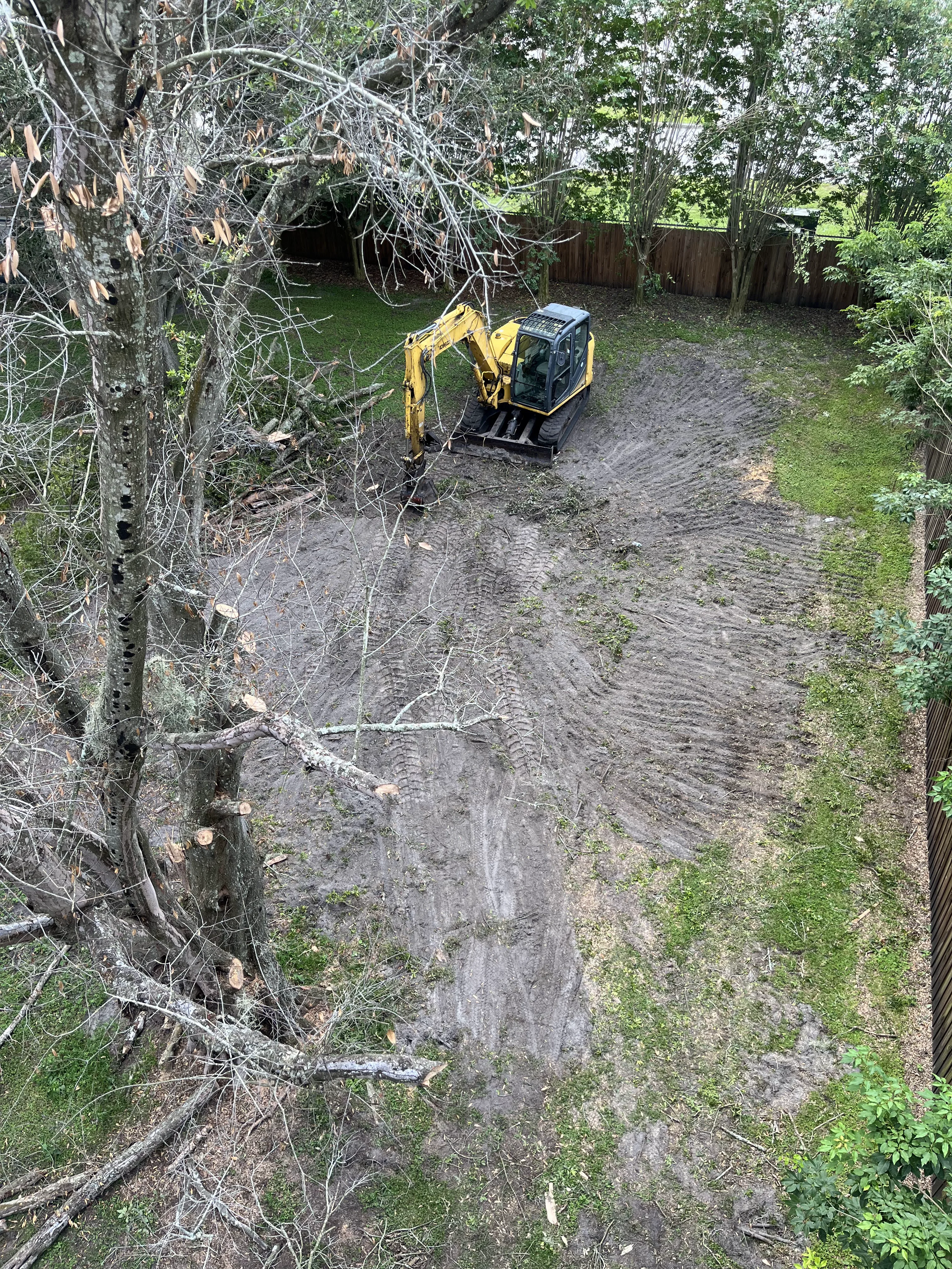 Cleaning Branches on the Ground