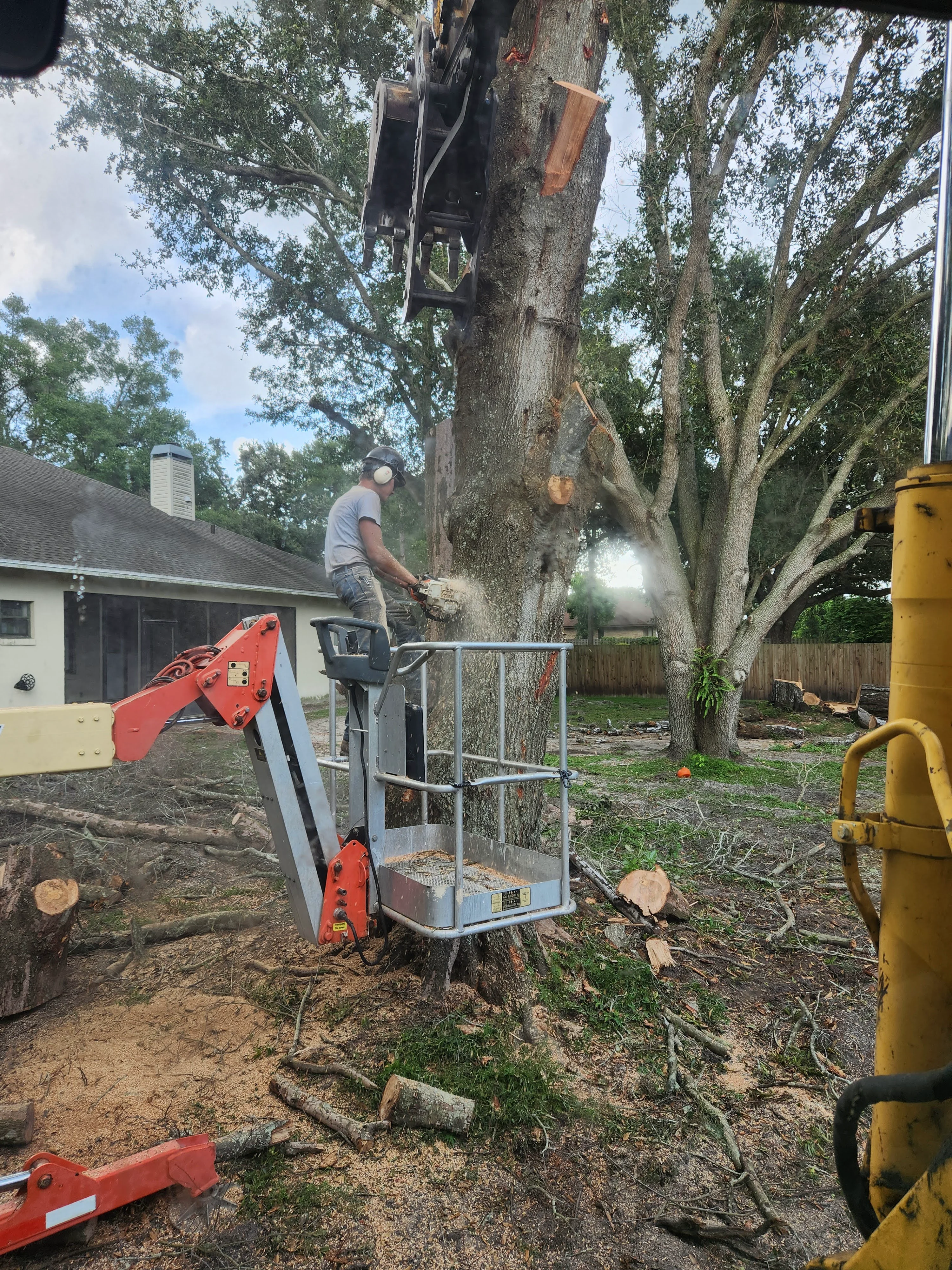 Cutting Down the Trunk of the Tree