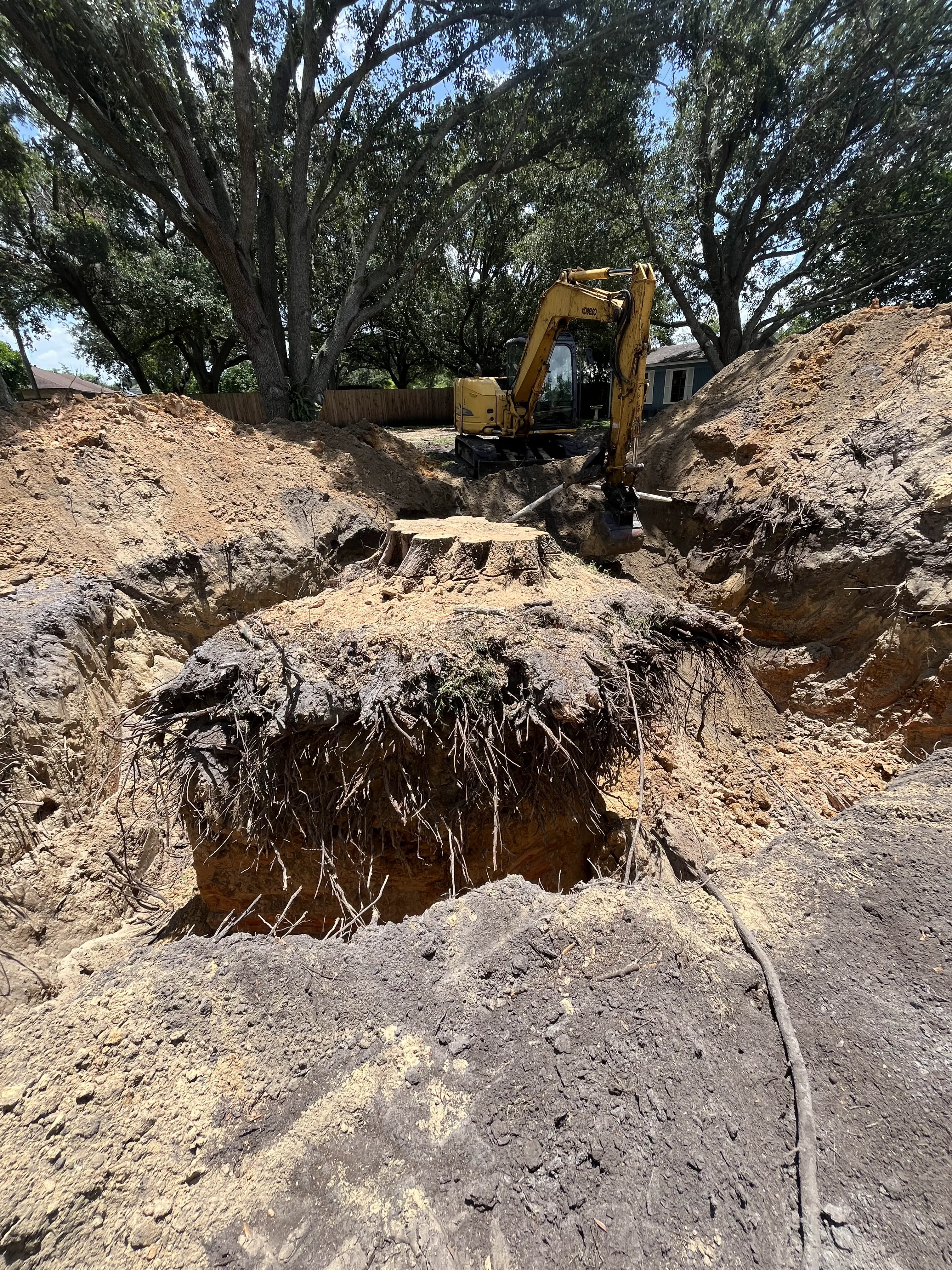 Digging Out the Stump