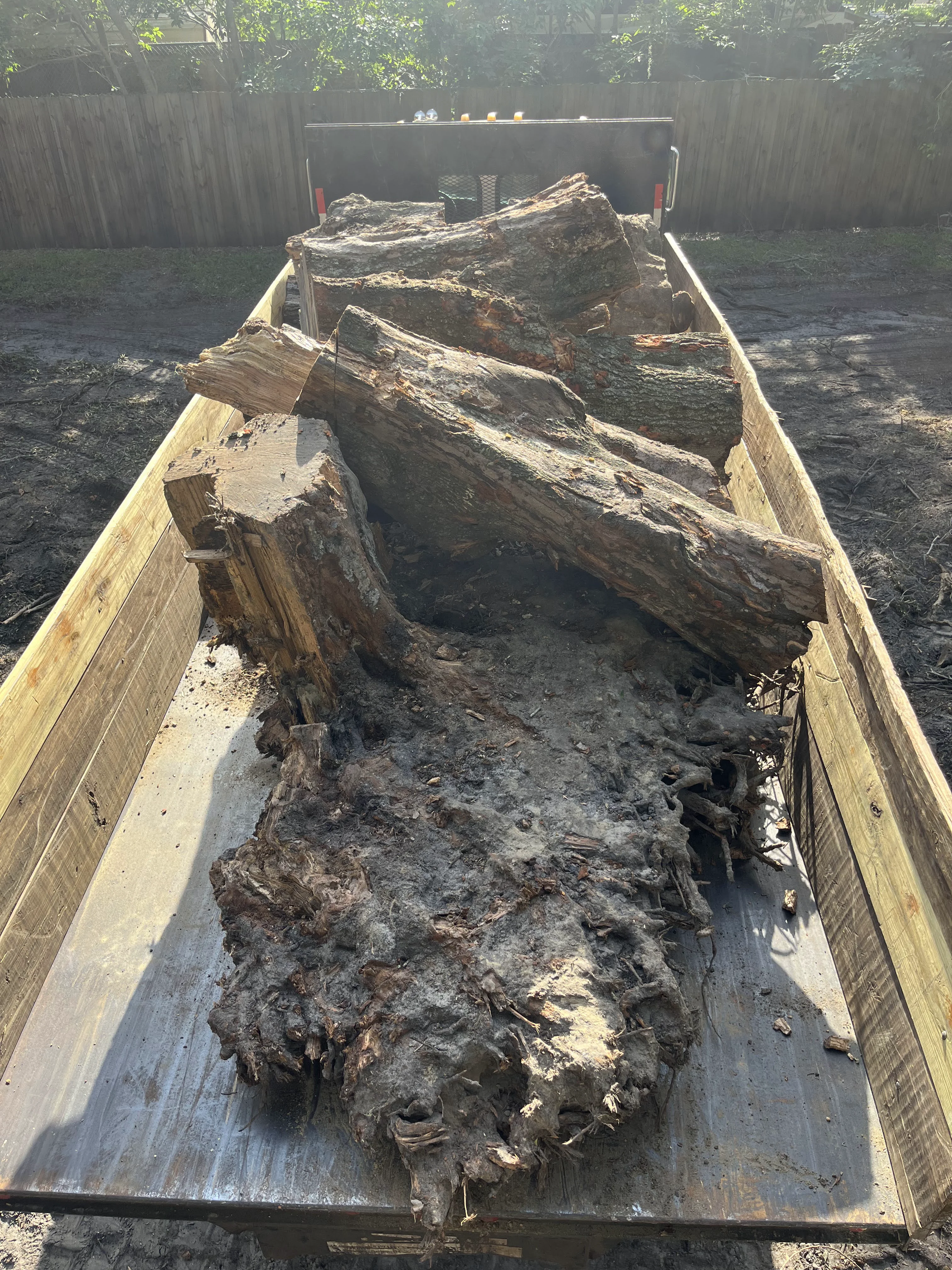 Stumps in the Dump Truck