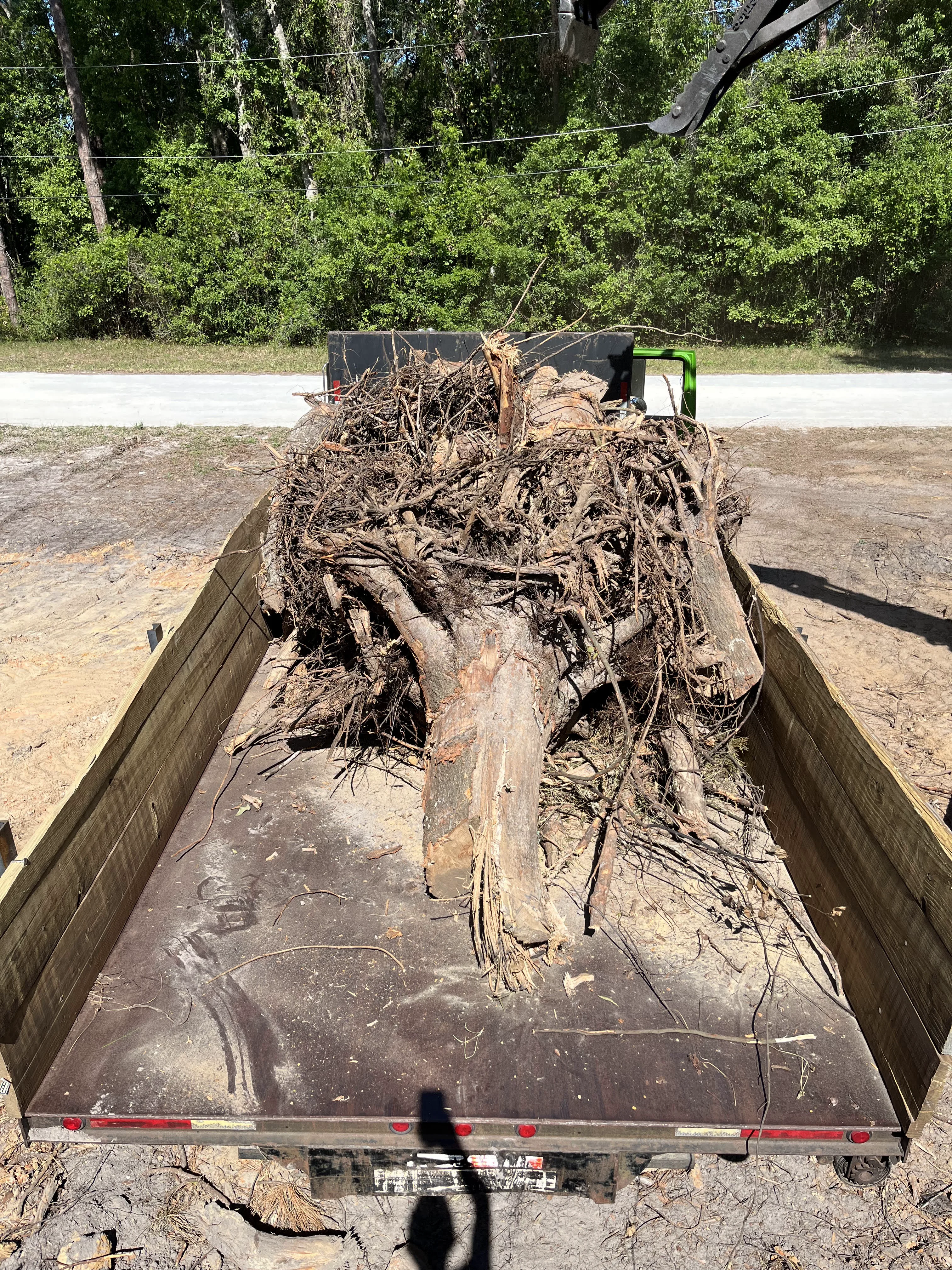 Dump Truck Stump