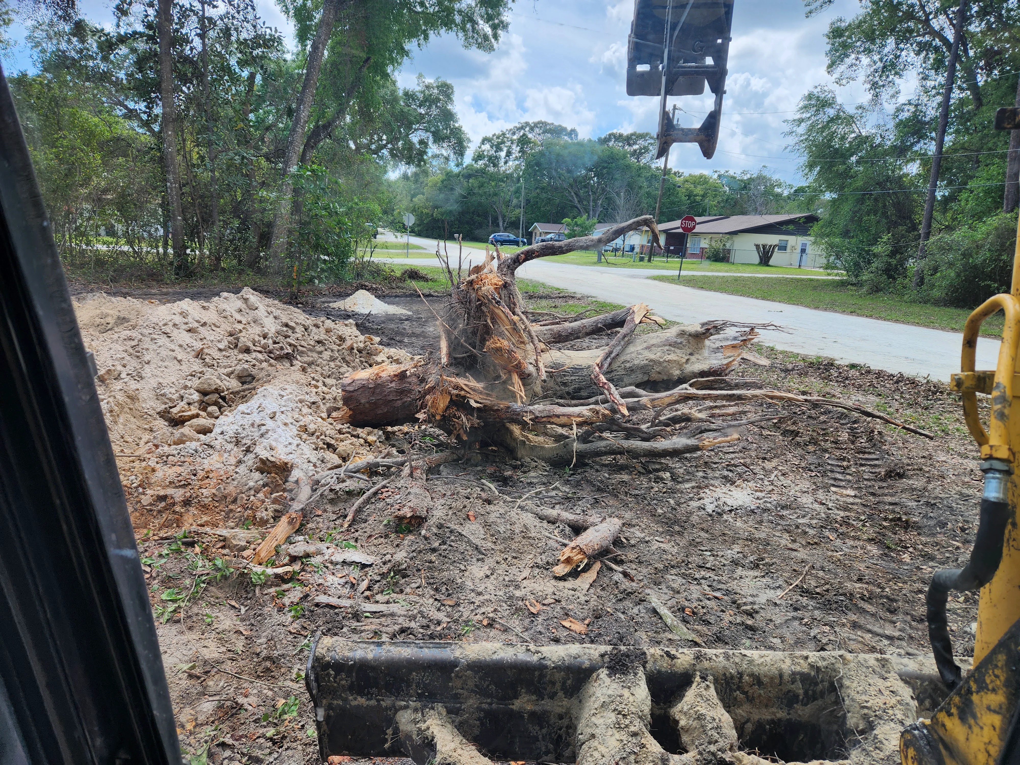 Large Stump