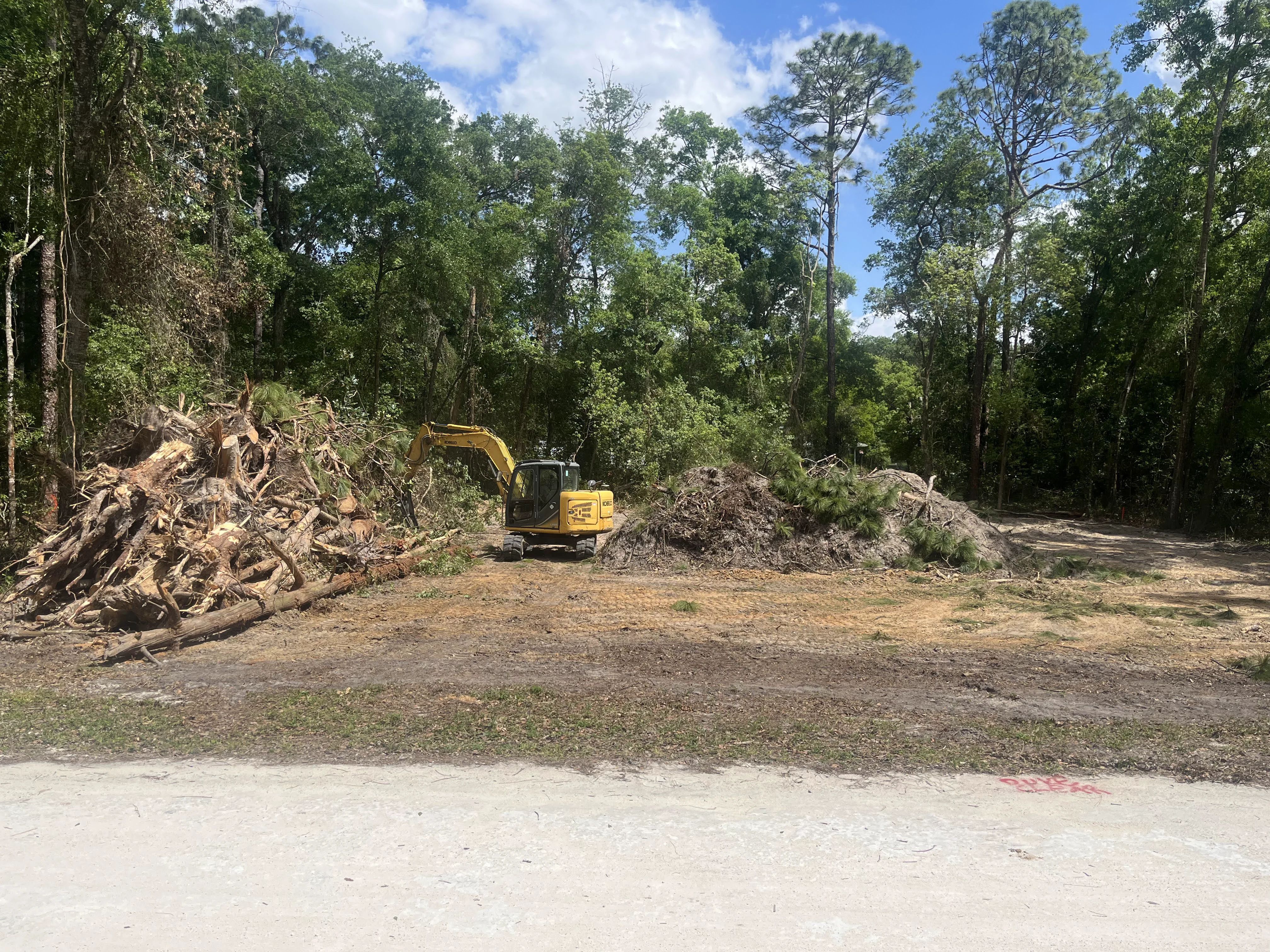 Piling Up Logs
