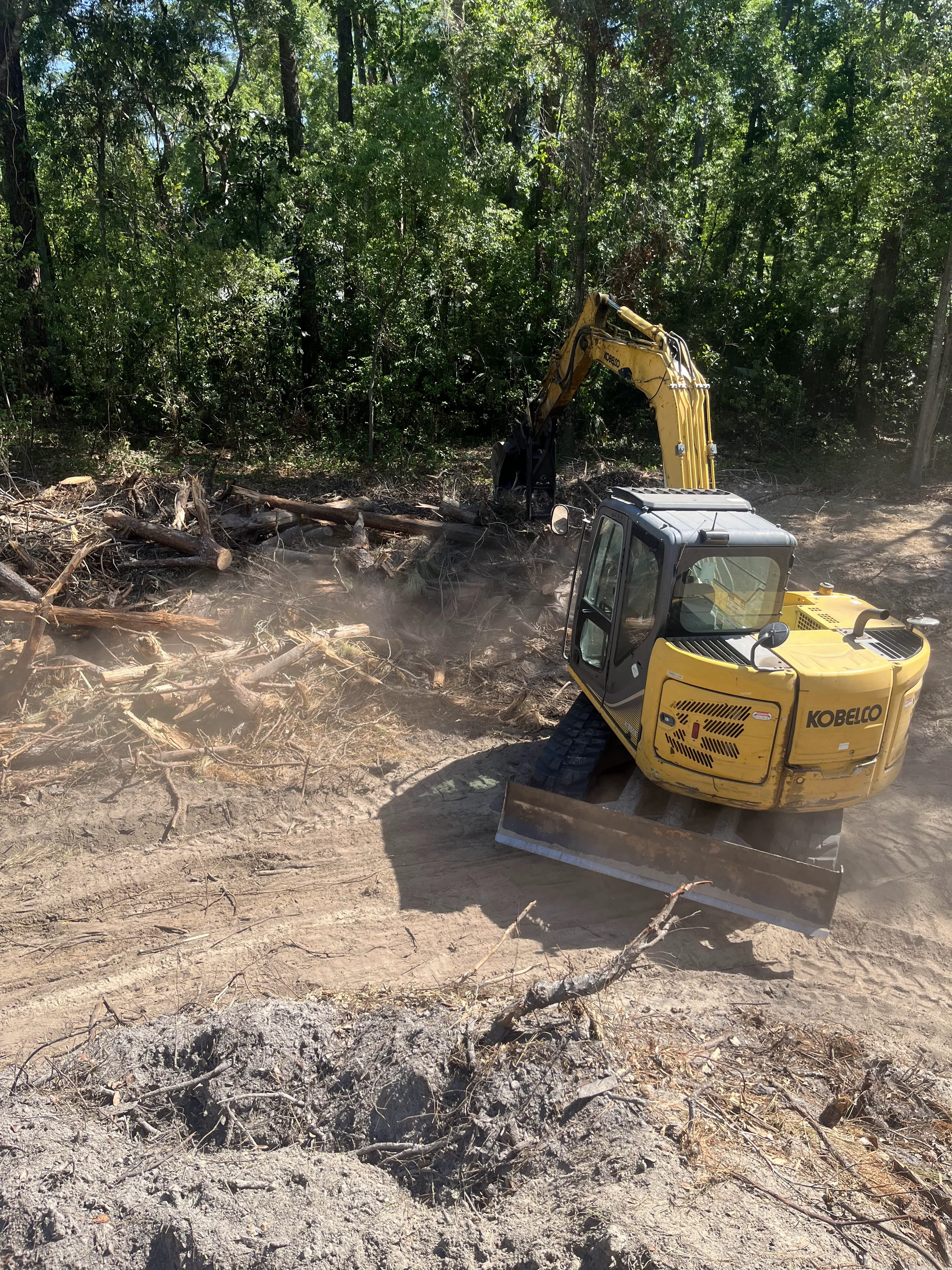 Sorting Through Logs