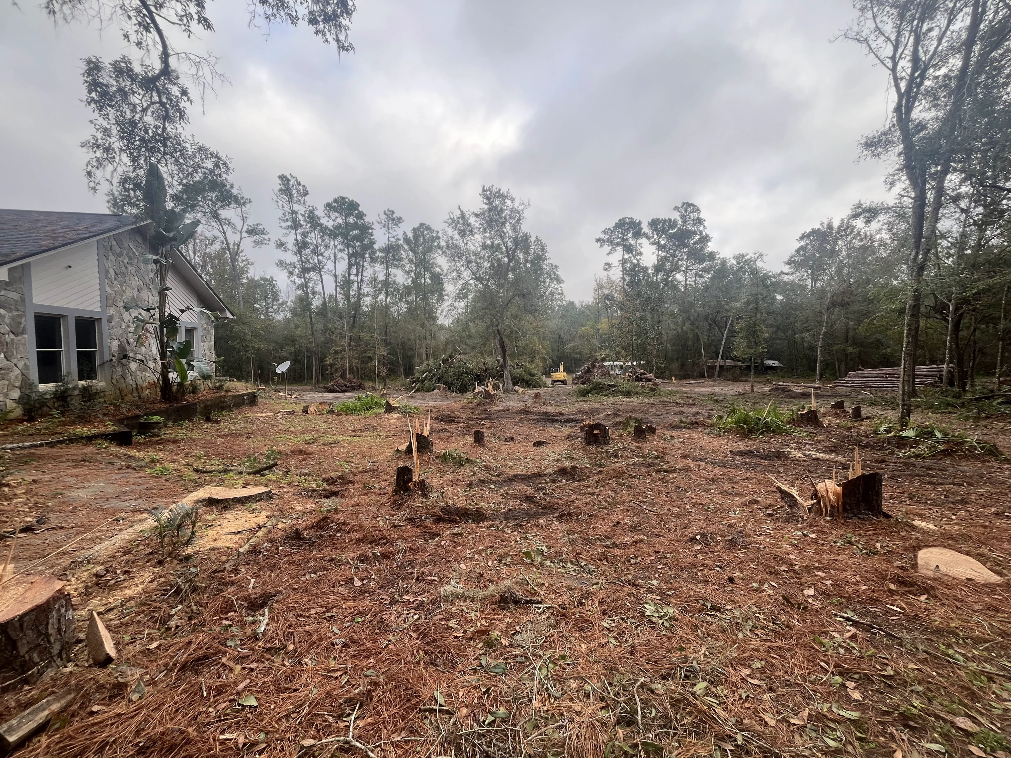 All of the Trees Cut Down