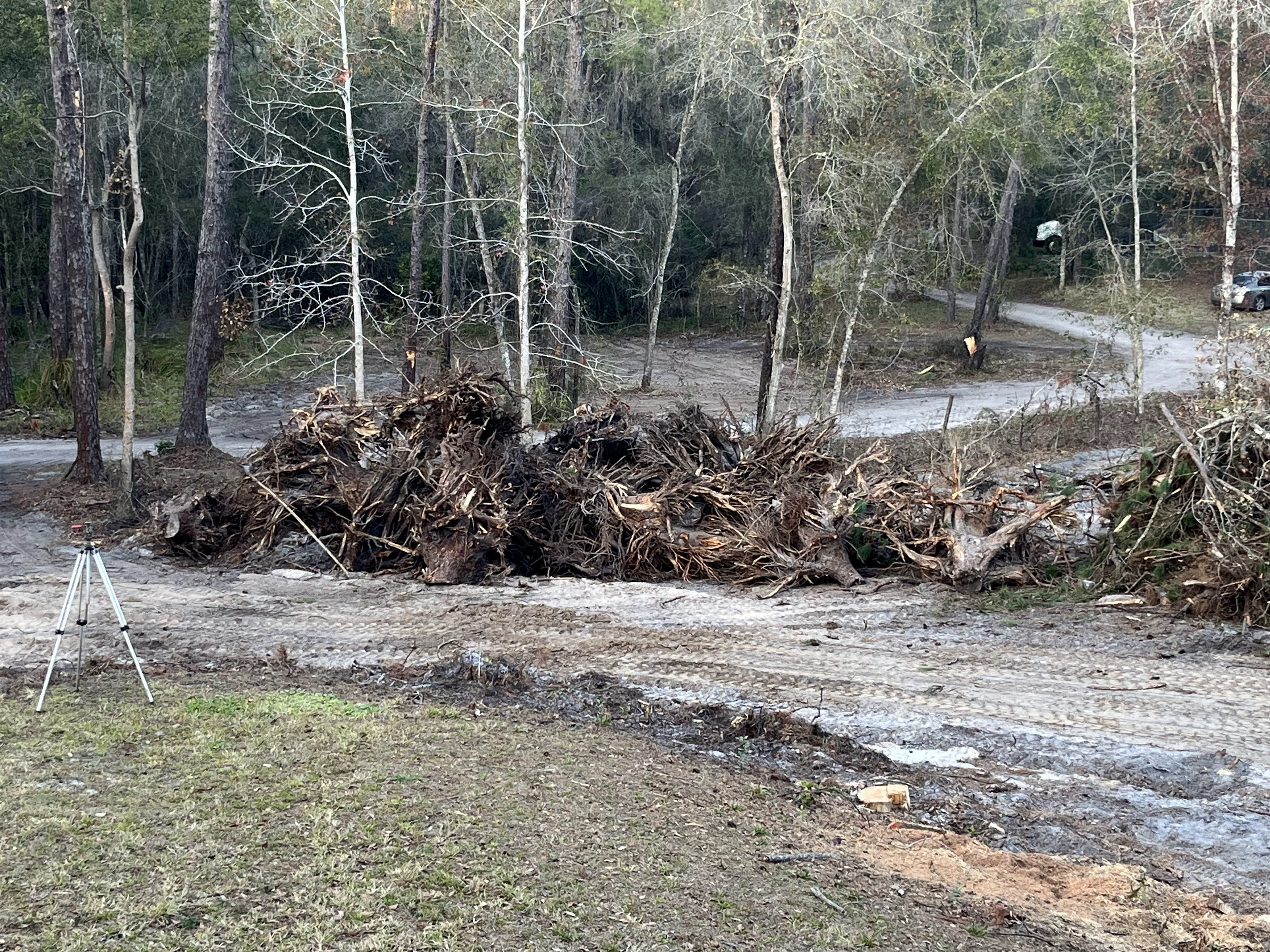 Pile of Stumps to Burn