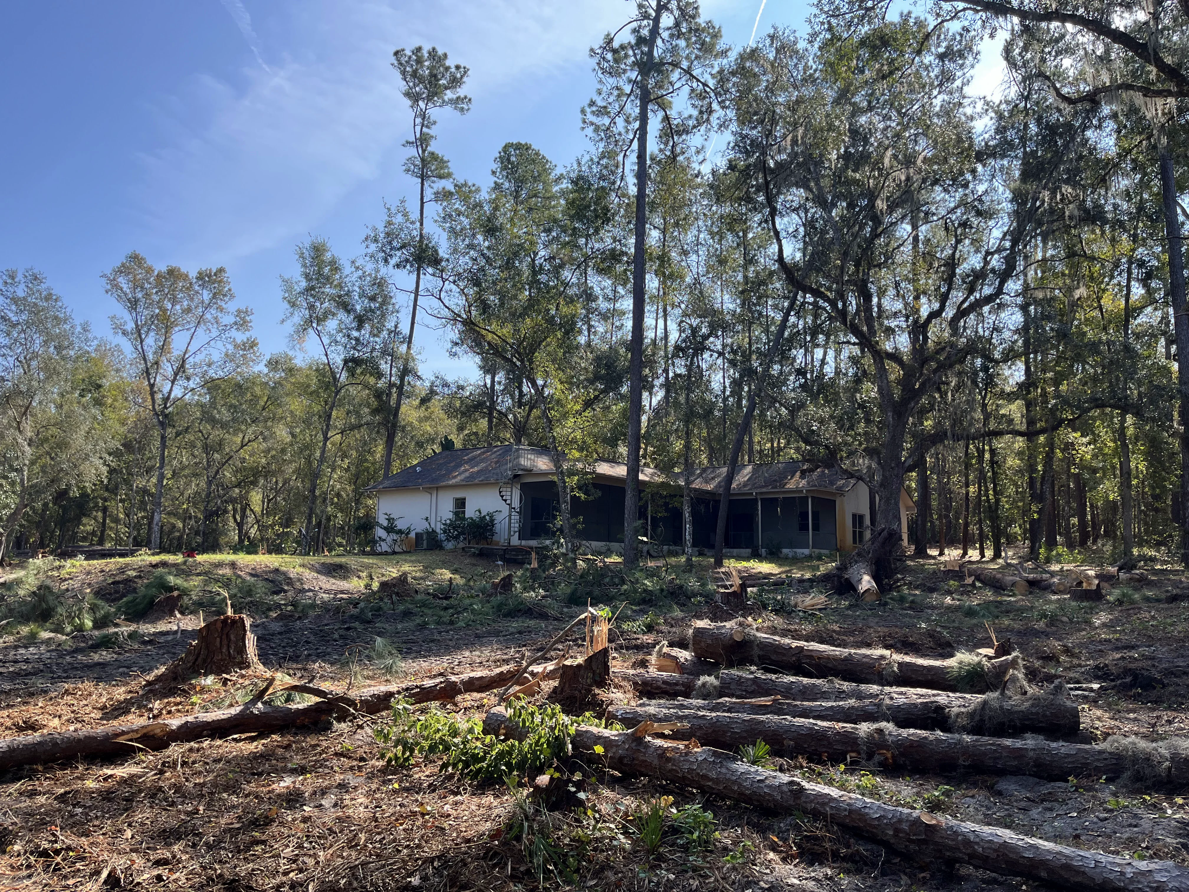 Removing the Trees