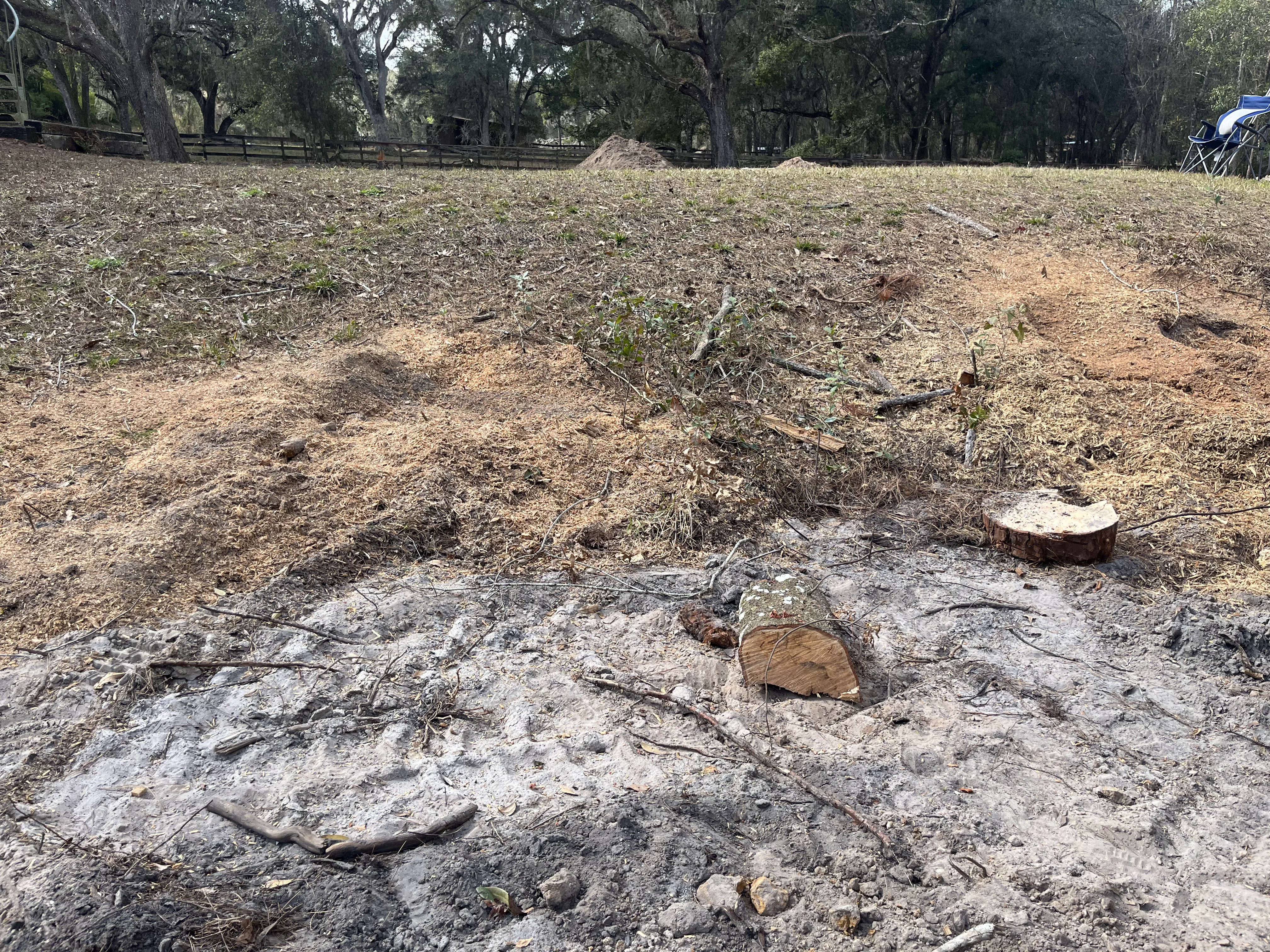 Stump Grinding Services