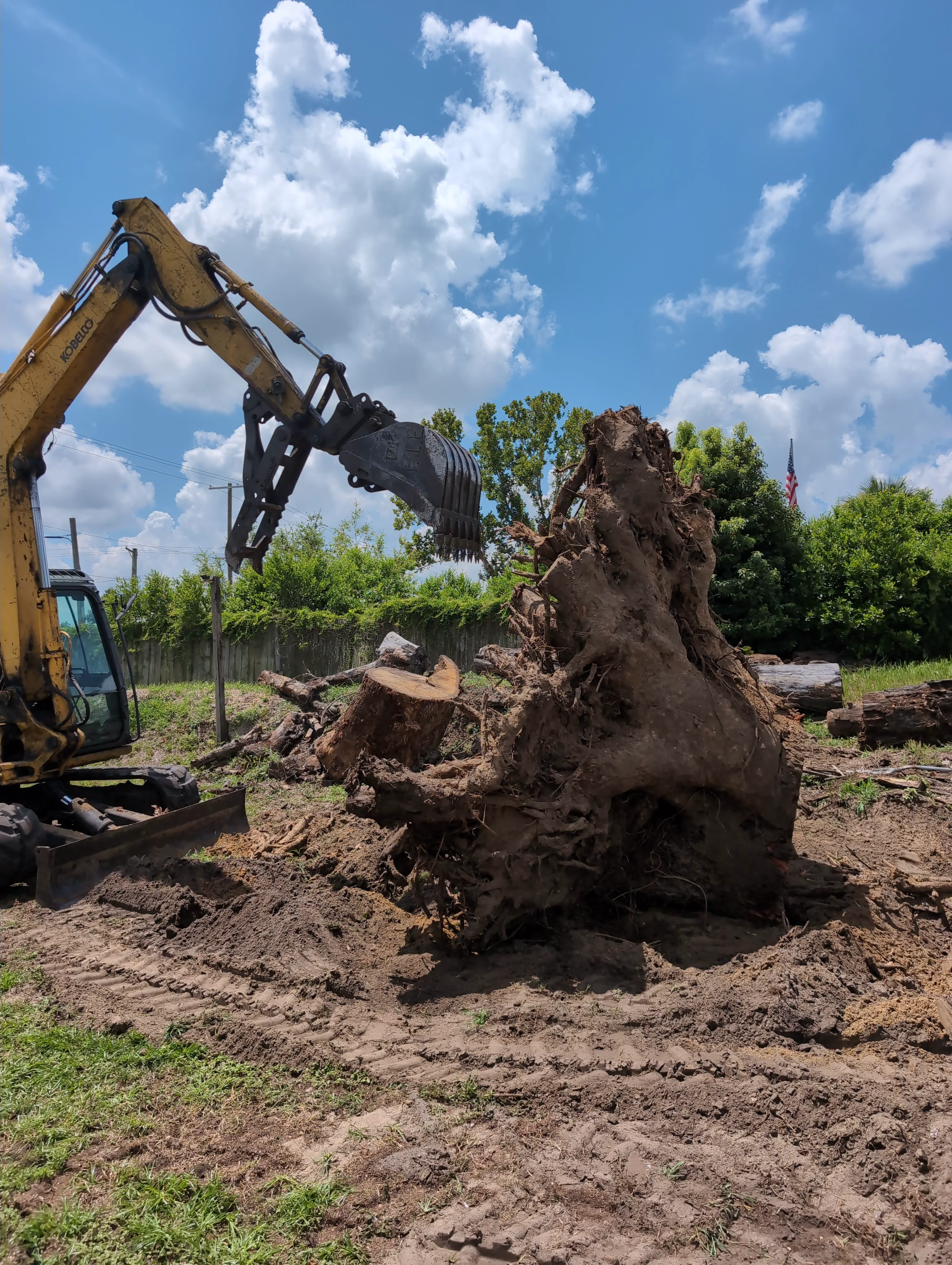 Cleaning the Dirt Out of a Stump
