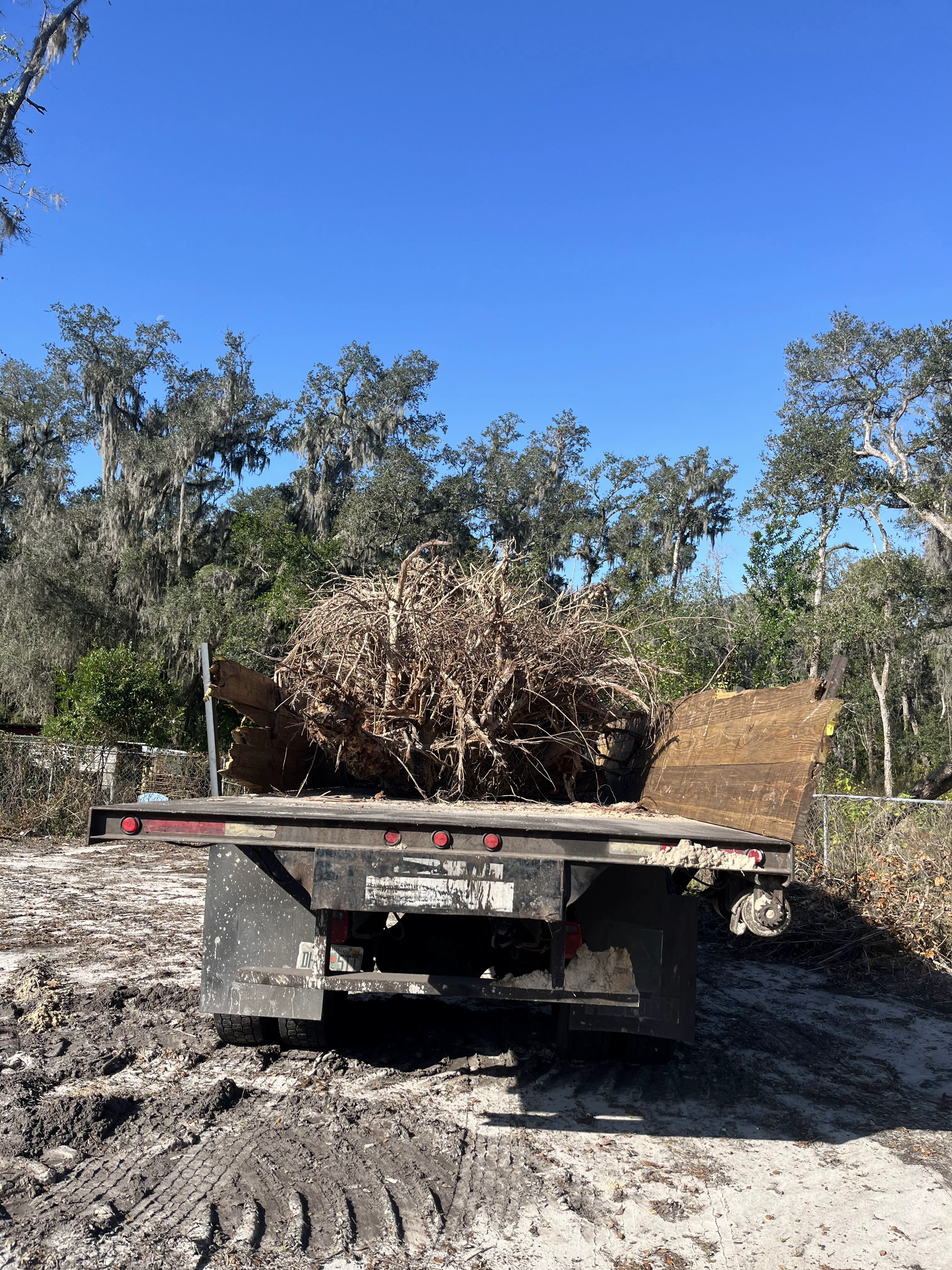 Hauling Away a Stump