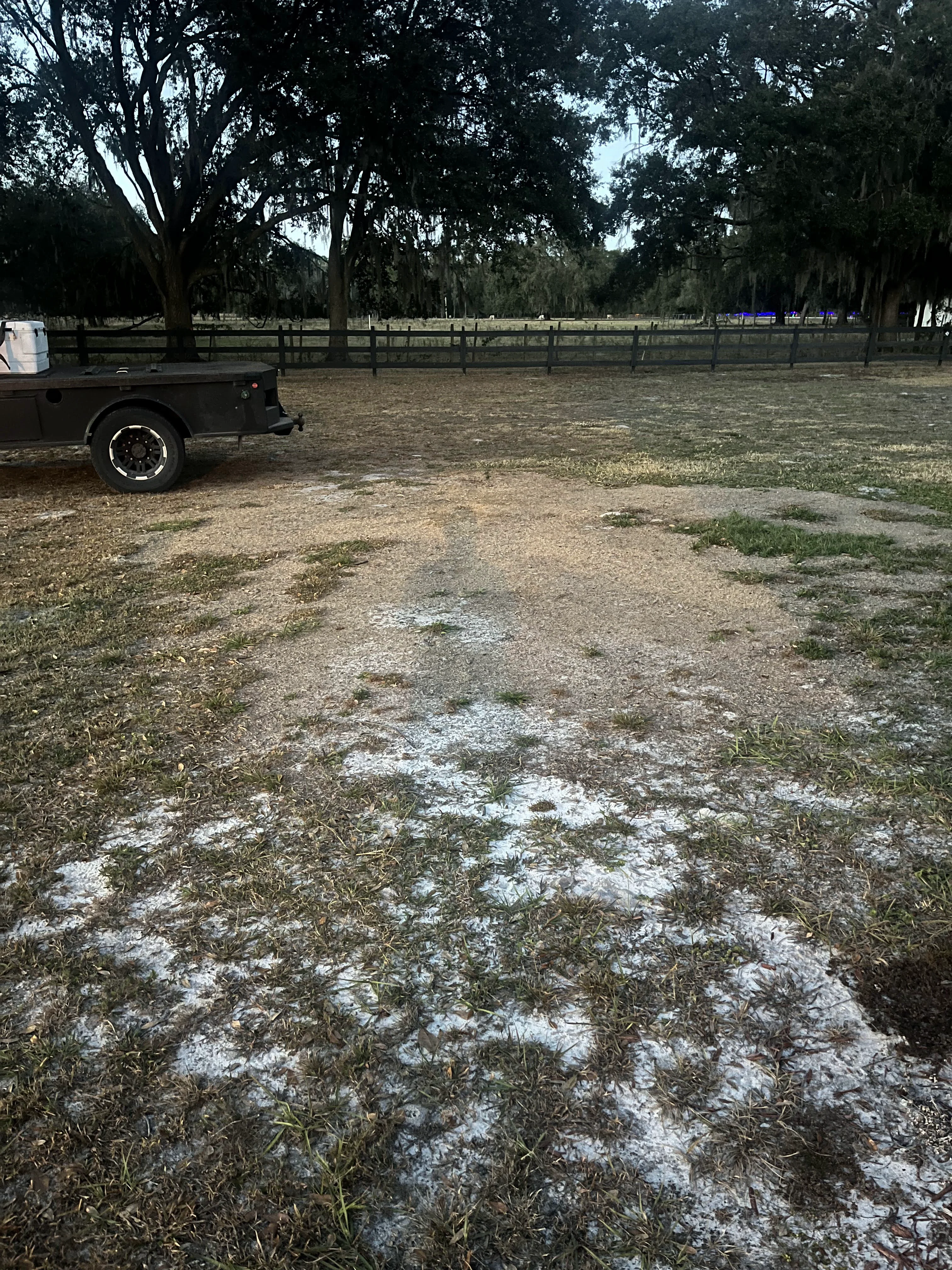 Stump Grinding After One Year