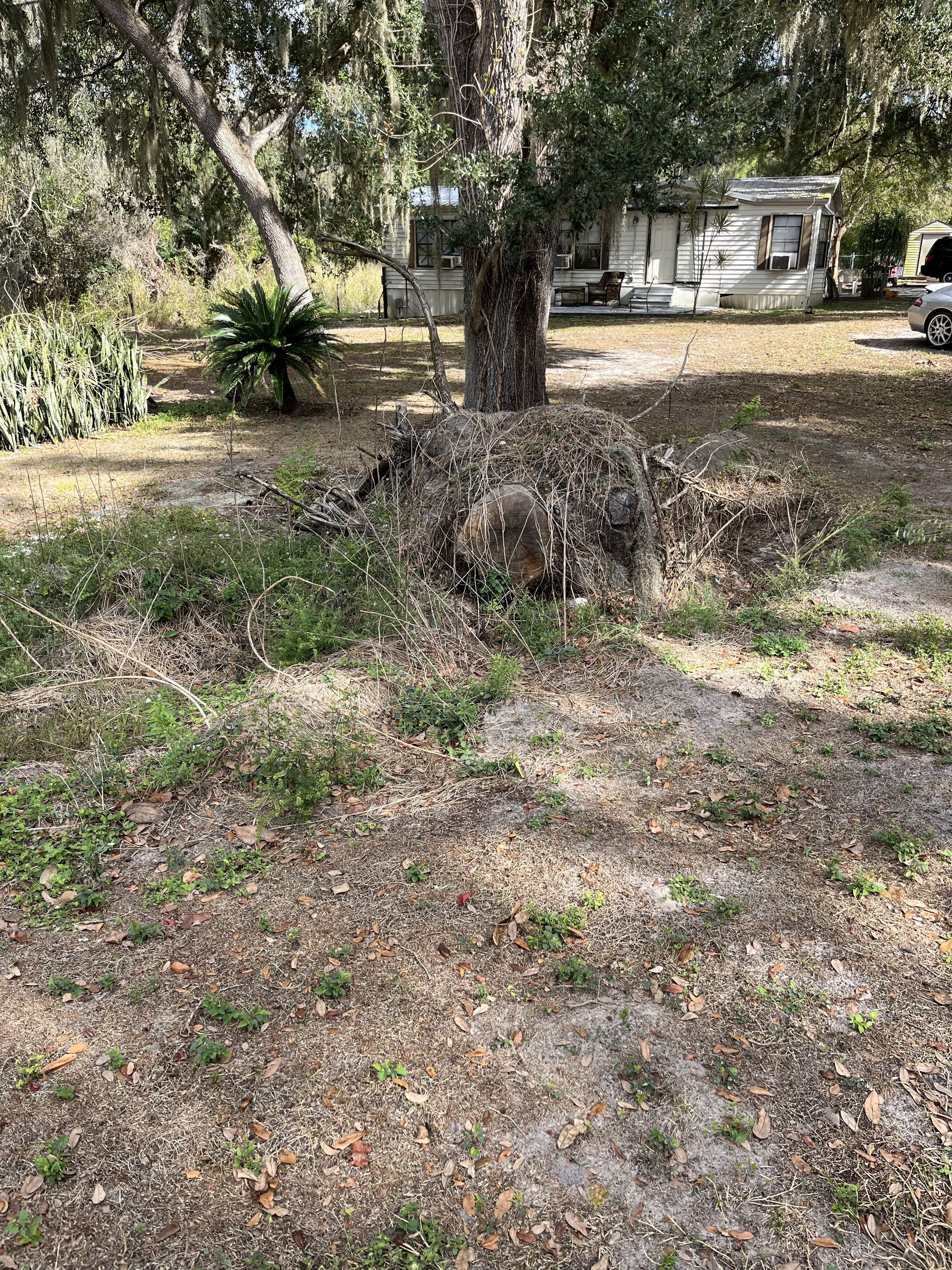 Stump Removal Instance C