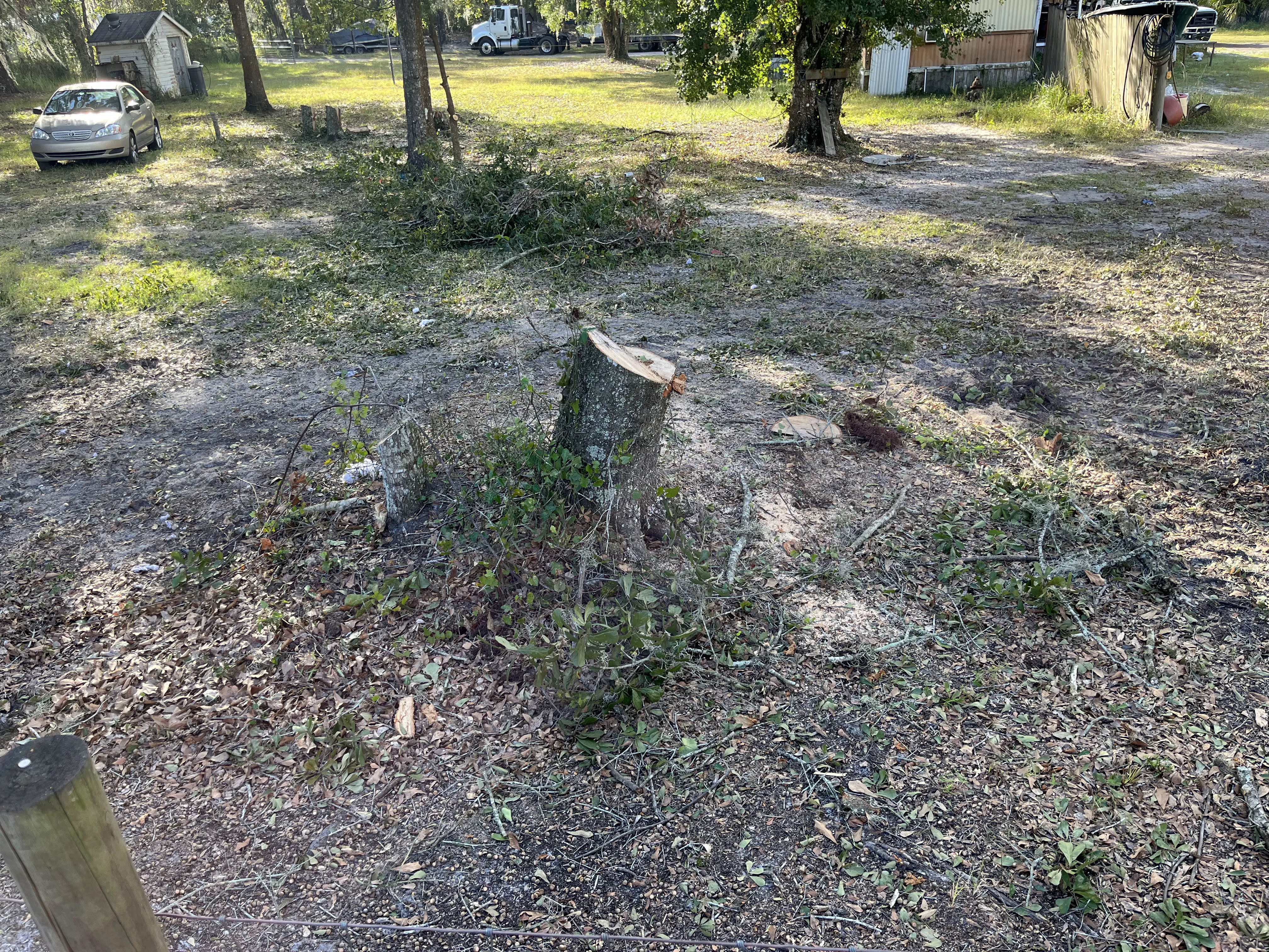 Stump Removal Instance D