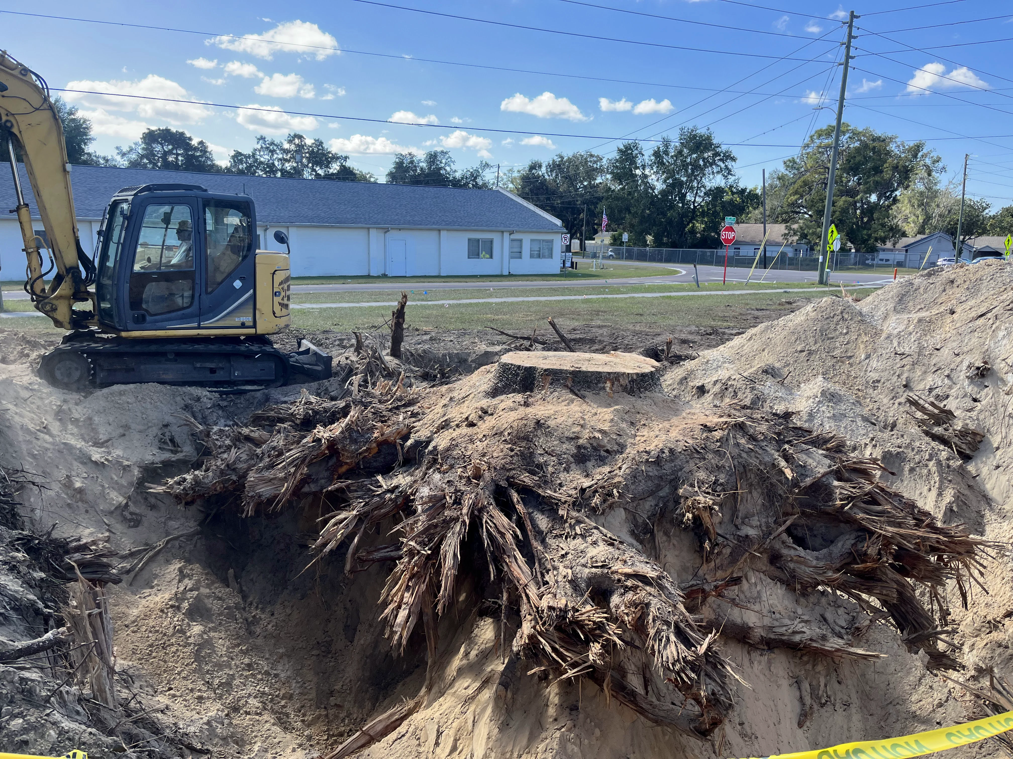 Digging Out the Stump