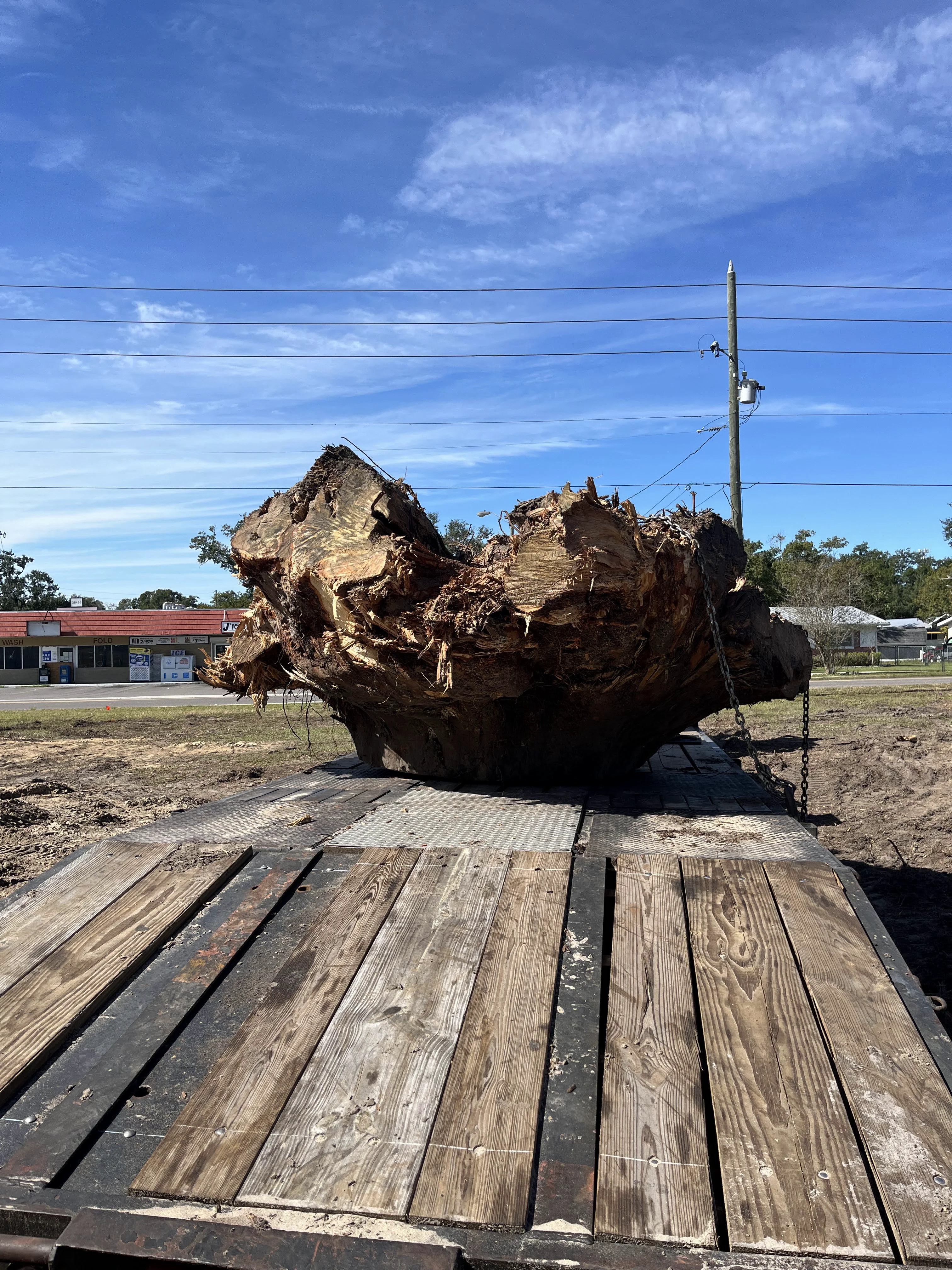 Hauling the Stump Away