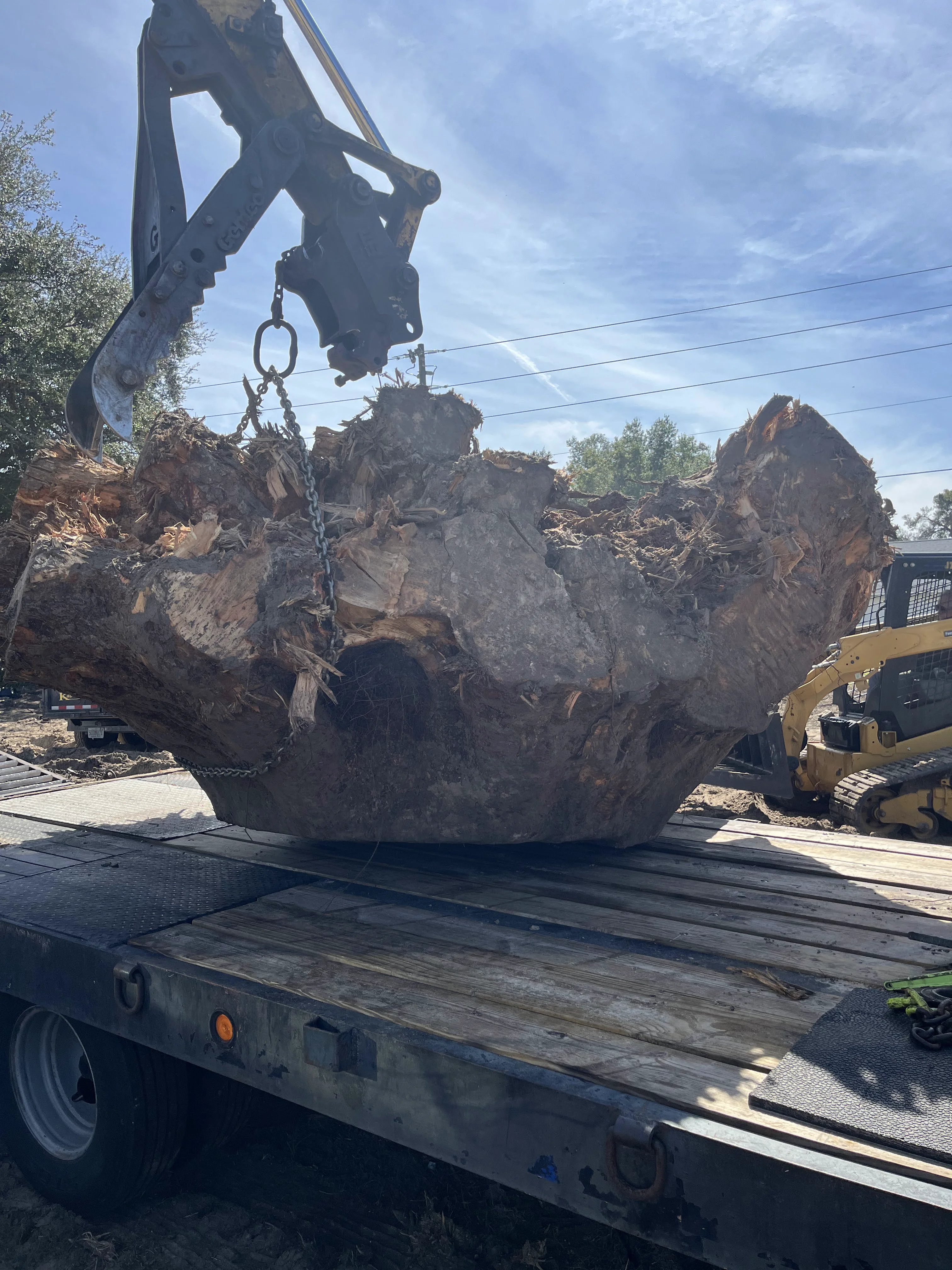 Loading the Stump