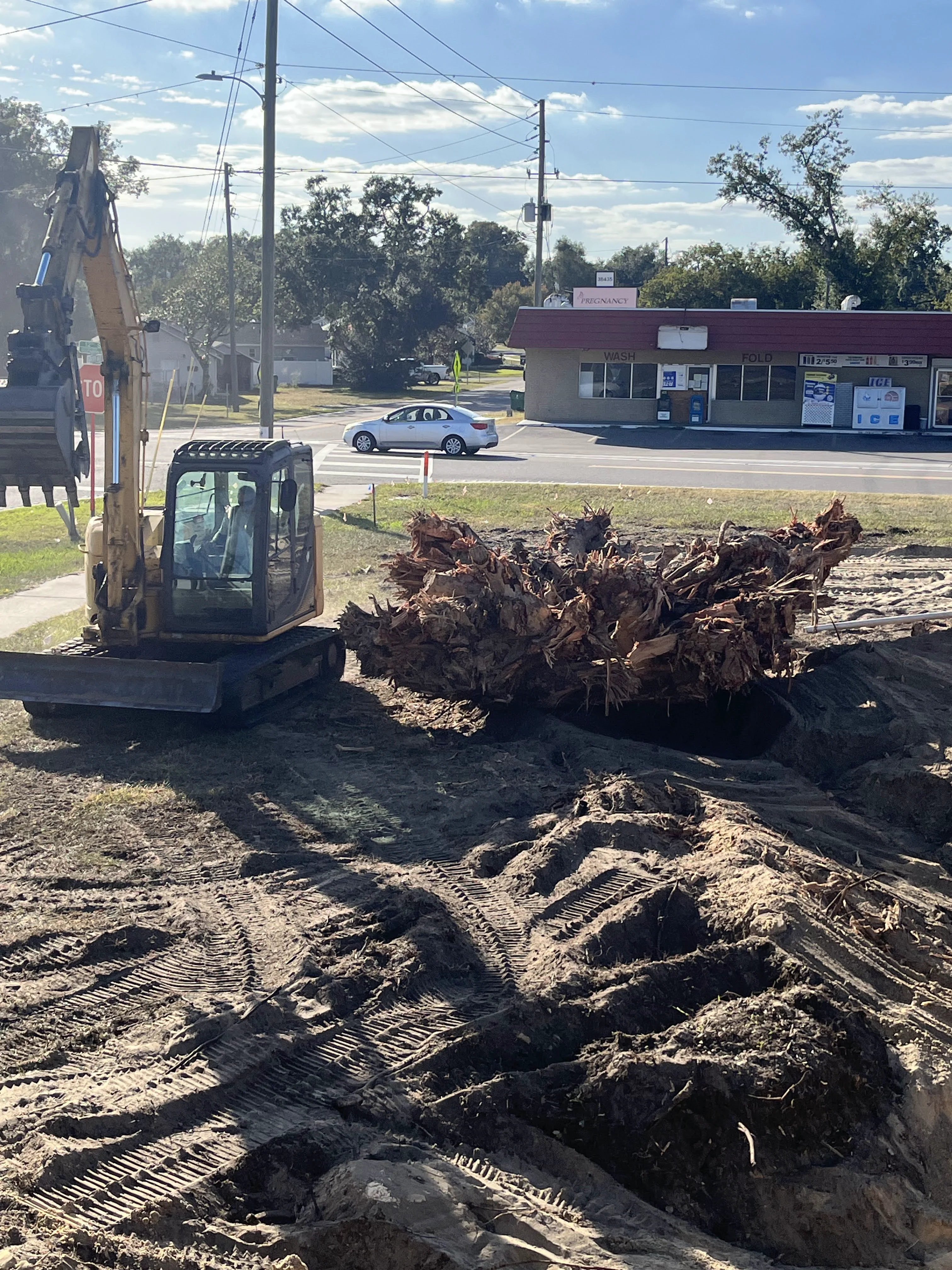 Stump Is Out